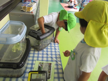学習のページ 深谷市立深谷西小学校